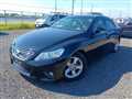2010 Toyota Mark X