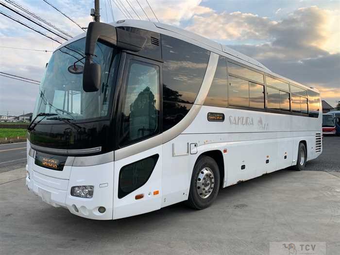 2007 Hino S'elega