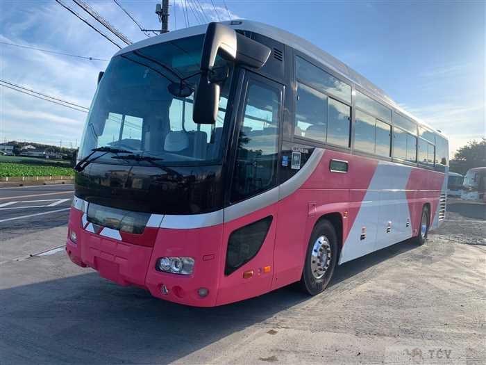 2009 Isuzu Isuzu Others