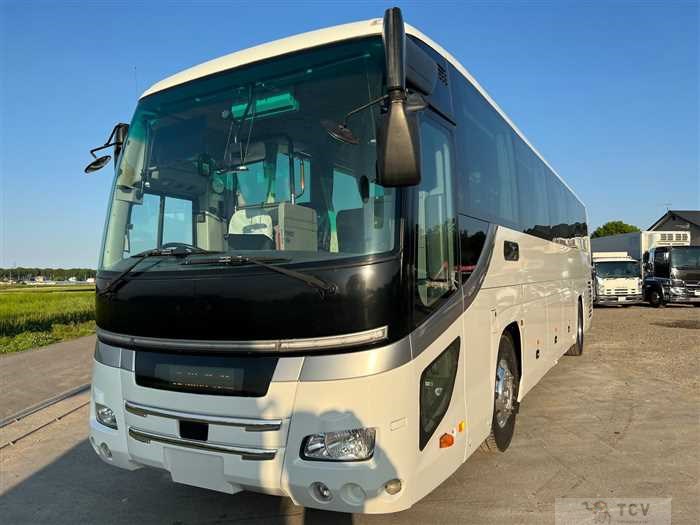 2014 Hino S'elega