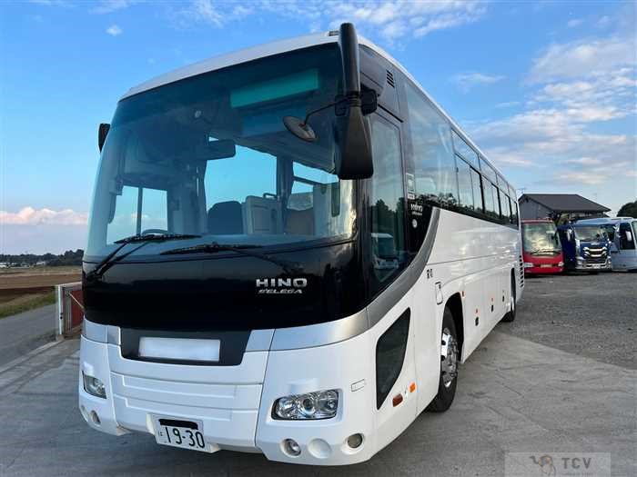 2007 Hino S'elega