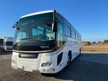 2009 Hino S'elega