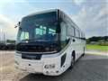 2007 Hino S'elega