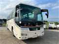 2007 Hino S'elega