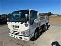2017 Isuzu Elf Truck