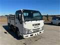 2017 Isuzu Elf Truck