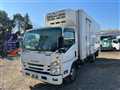 2020 Isuzu Elf Truck