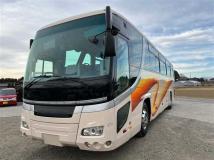 2006 Hino S'elega