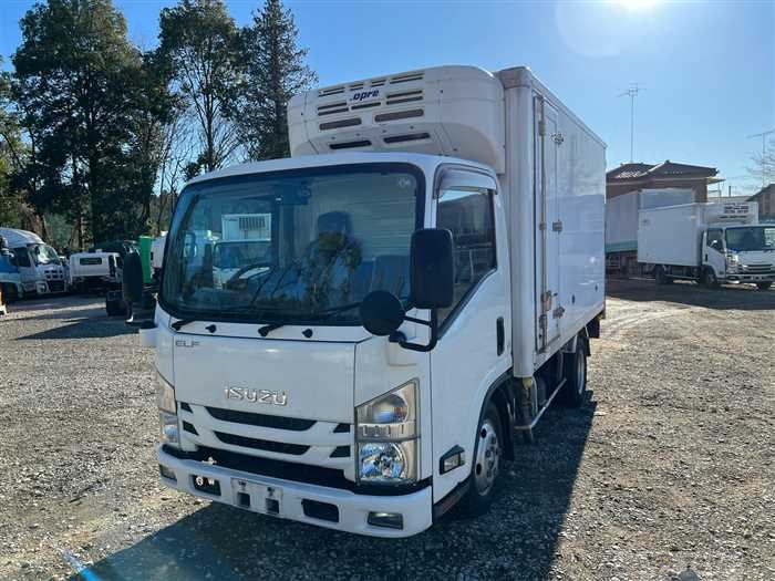 2019 Isuzu Elf Truck
