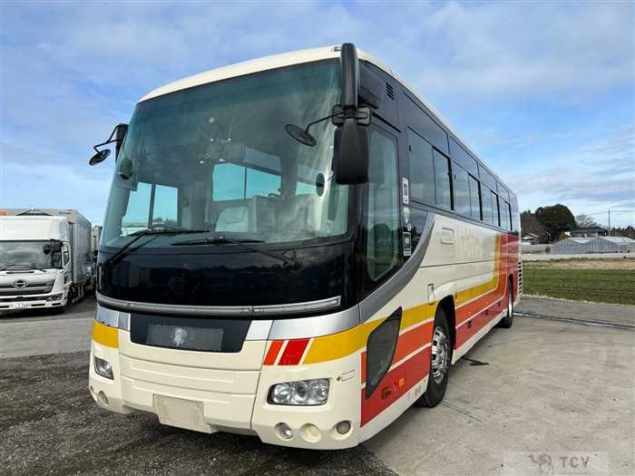 2007 Hino S'elega