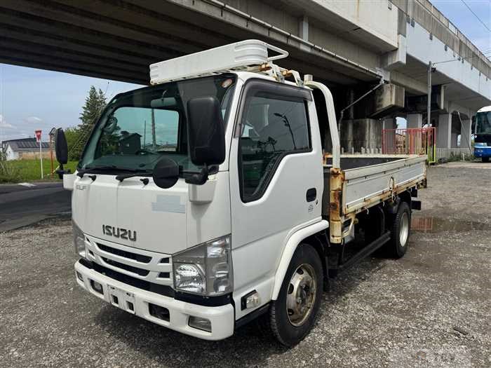 2017 Isuzu Elf Truck