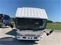 2020 Isuzu Elf Truck