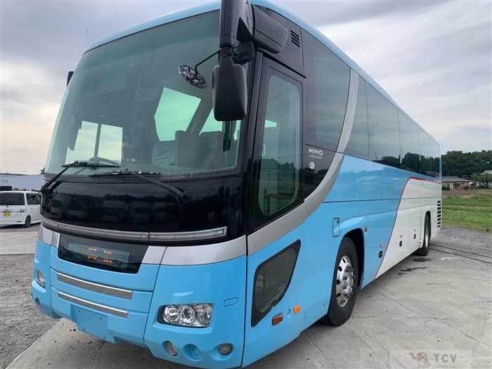 2008 Hino S'elega