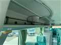 2008 Hino S'elega