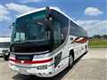 2009 Hino S'elega
