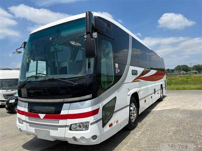 2009 Hino S'elega