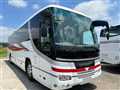 2009 Hino S'elega