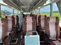 2009 Hino S'elega