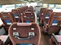 2009 Hino S'elega