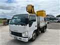 Isuzu Elf Truck