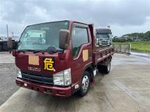 2009 Isuzu Elf Truck