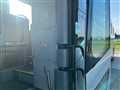 2010 Isuzu Isuzu Others