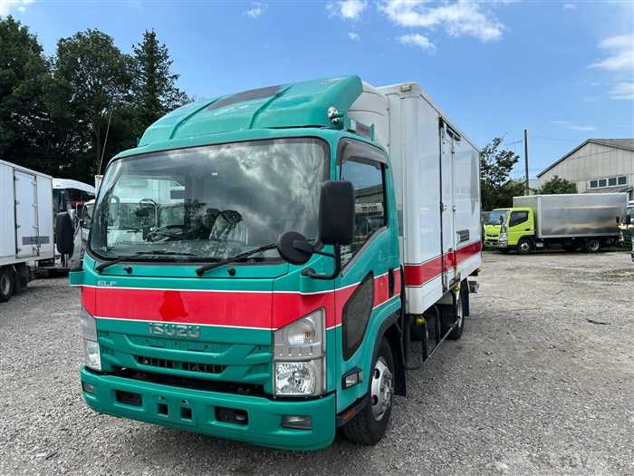 2017 Isuzu Elf Truck