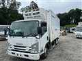 2018 Isuzu Elf Truck