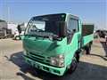 2017 Isuzu Elf Truck