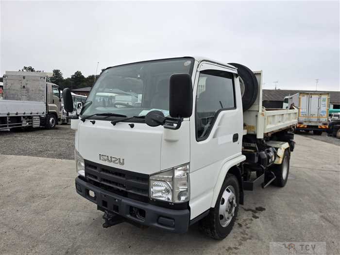 2009 Isuzu Elf Truck
