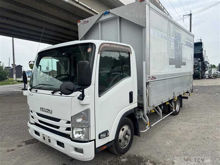 2018 Isuzu Elf Truck
