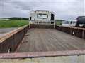 2007 Isuzu Elf Truck