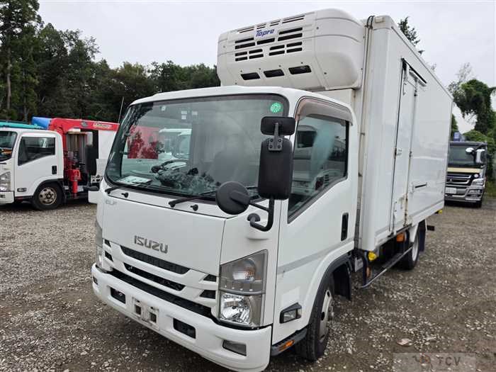 2020 Isuzu Elf Truck