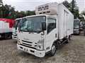 2021 Isuzu Elf Truck