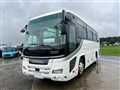 2015 Hino S'elega