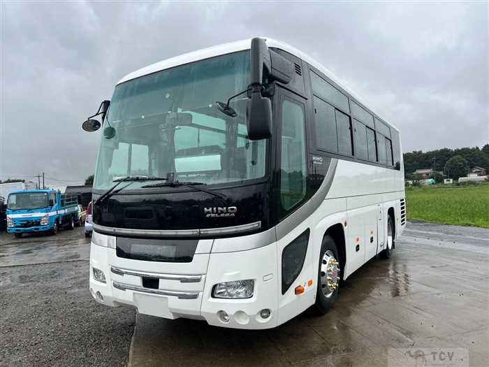 2015 Hino S'elega
