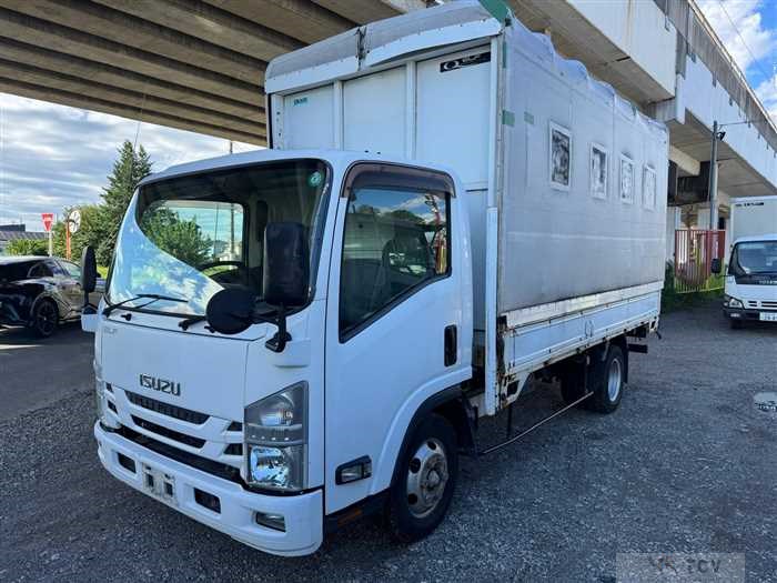 2017 Isuzu Elf Truck