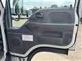 2020 Isuzu Elf Truck