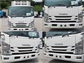 2016 Isuzu Elf Truck