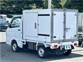 2019 Suzuki Carry Truck