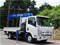 2008 Isuzu Elf Truck