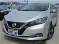 2019 Nissan Leaf