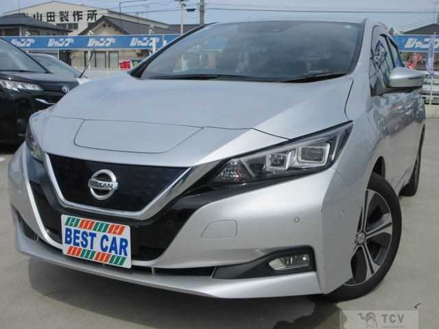 2019 Nissan Leaf