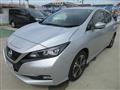 2019 Nissan Leaf