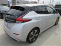 2019 Nissan Leaf