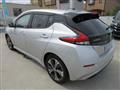 2019 Nissan Leaf