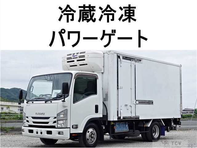 2017 Isuzu Elf Truck