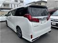 2020 Toyota Alphard G