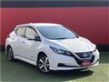 2020 Nissan Leaf