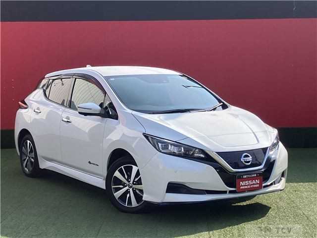 2020 Nissan Leaf